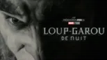 thumbnail - Loup-garou de nuit