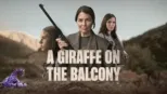 thumbnail - A Giraffe on the Balcony