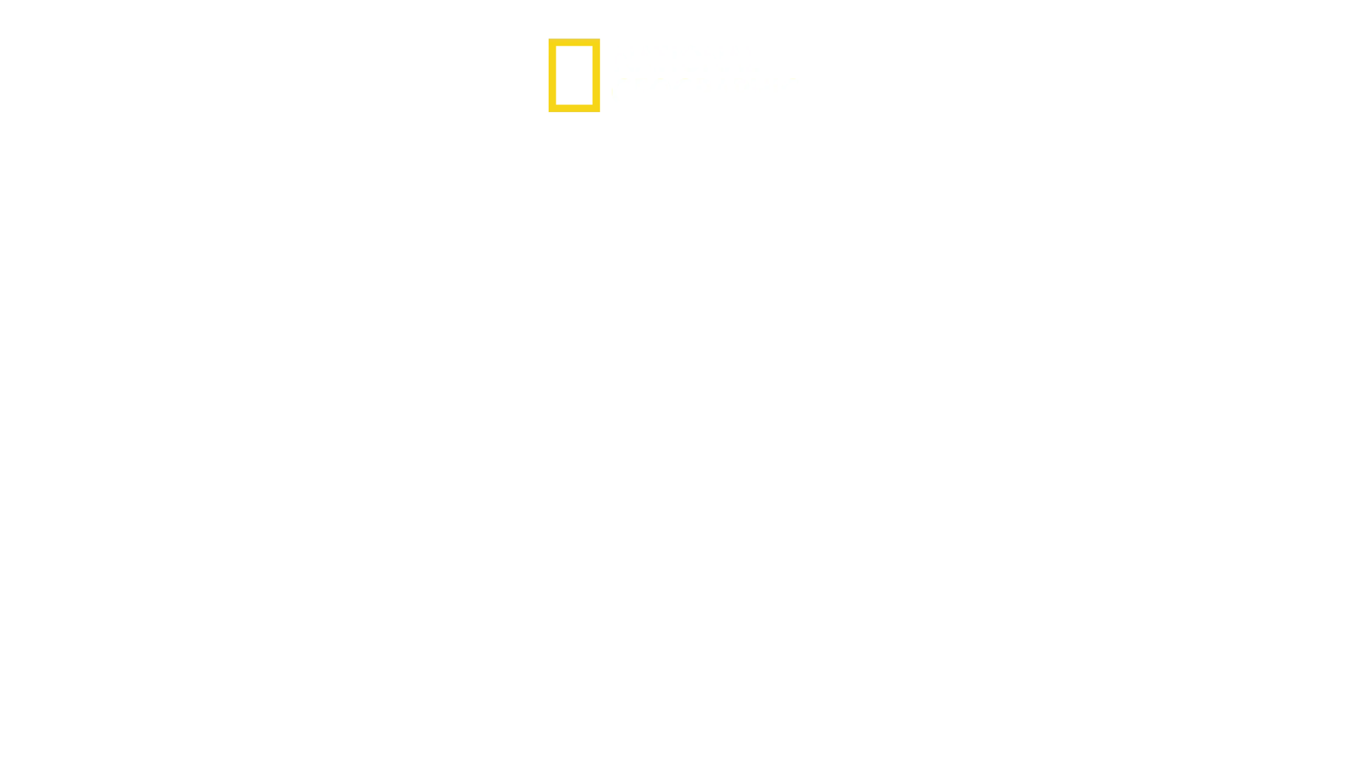 Riding Britain's Railways