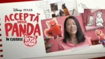 thumbnail - Acceptă ursul panda: În culisele ‘’Roșu Aprins’’