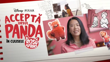 thumbnail - Acceptă ursul panda: În culisele ‘’Roșu Aprins’’