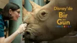 thumbnail - Disney’de Bir Gün