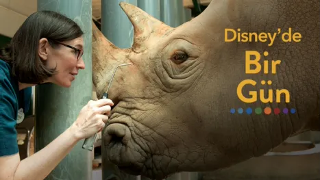 thumbnail - Disney’de Bir Gün