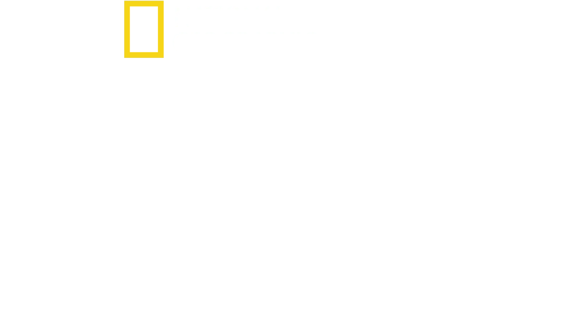 캡틴, 쿠스토