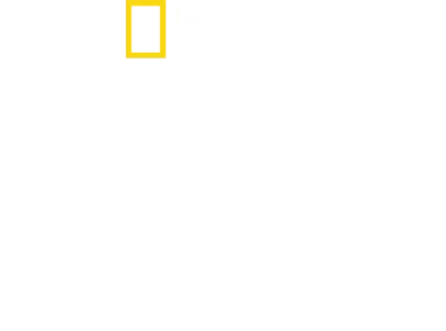 캡틴, 쿠스토