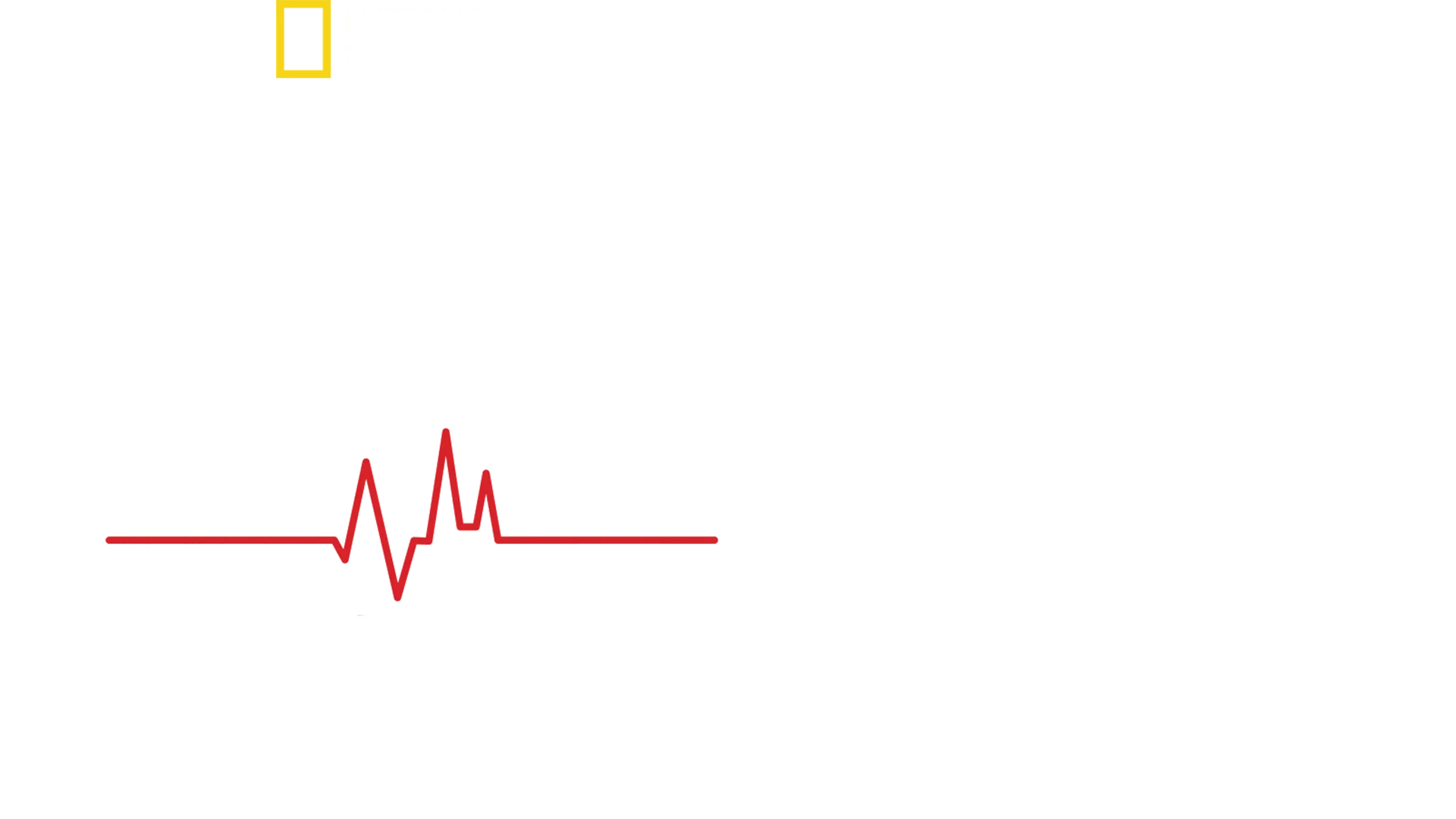 Zurück von den Toten