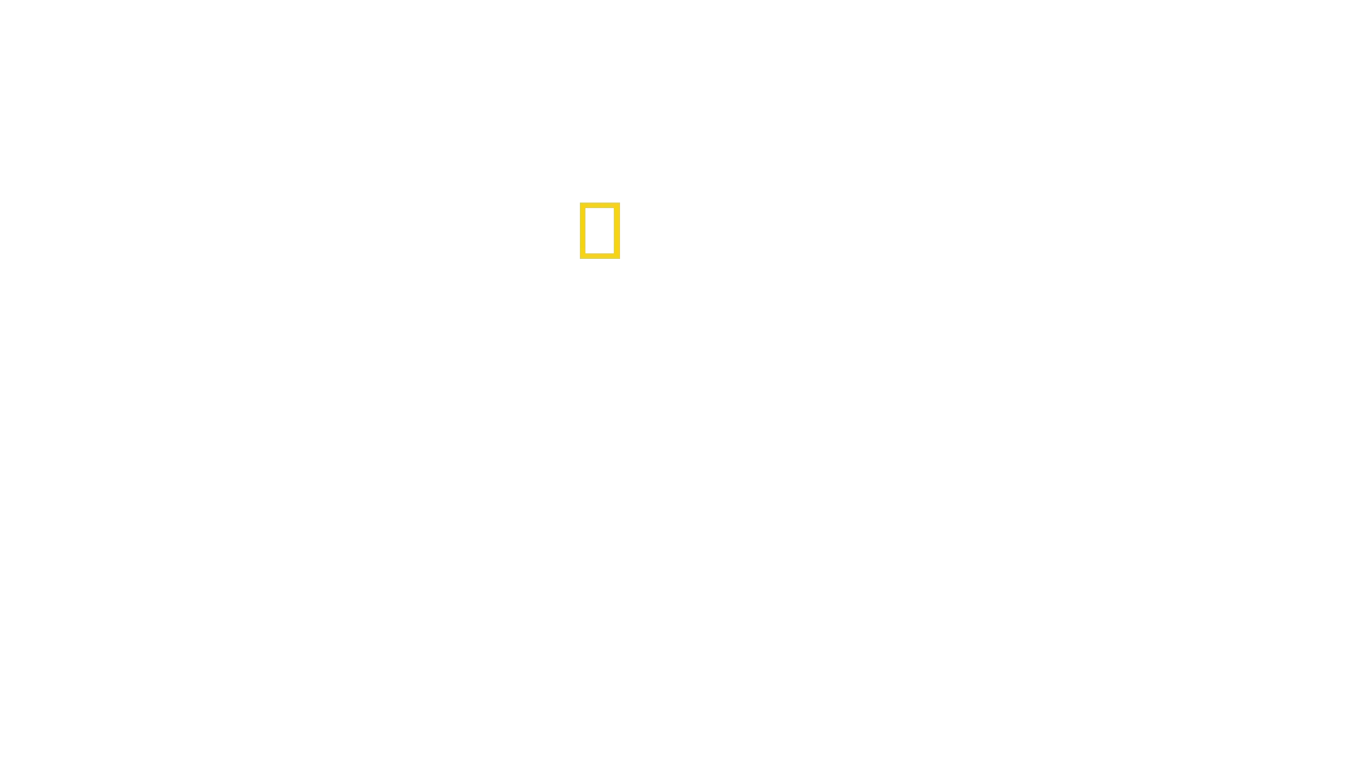 Mirakellanding på Hudson-elven