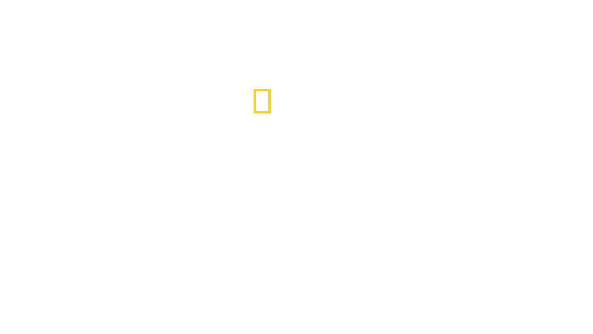 Mirakellanding på Hudson-elven
