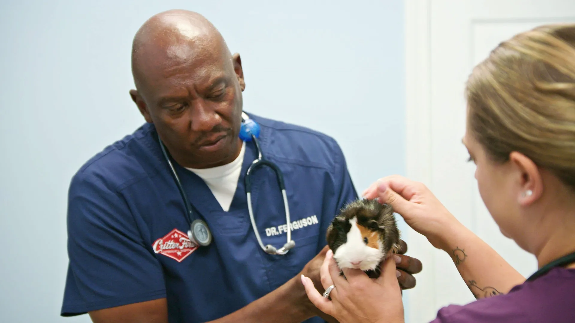 thumbnail - S6:E9 Handle with Care