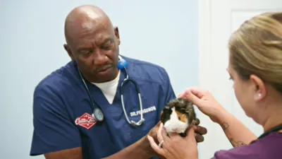 thumbnail - S6:E9 Handle with Care