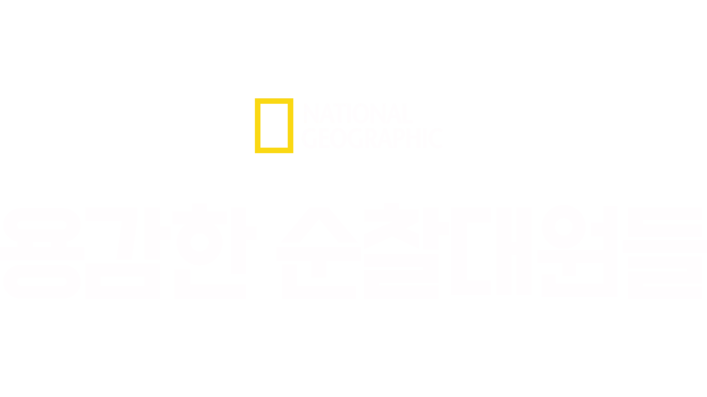 용감한 순찰대원들