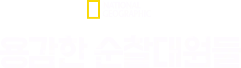 용감한 순찰대원들