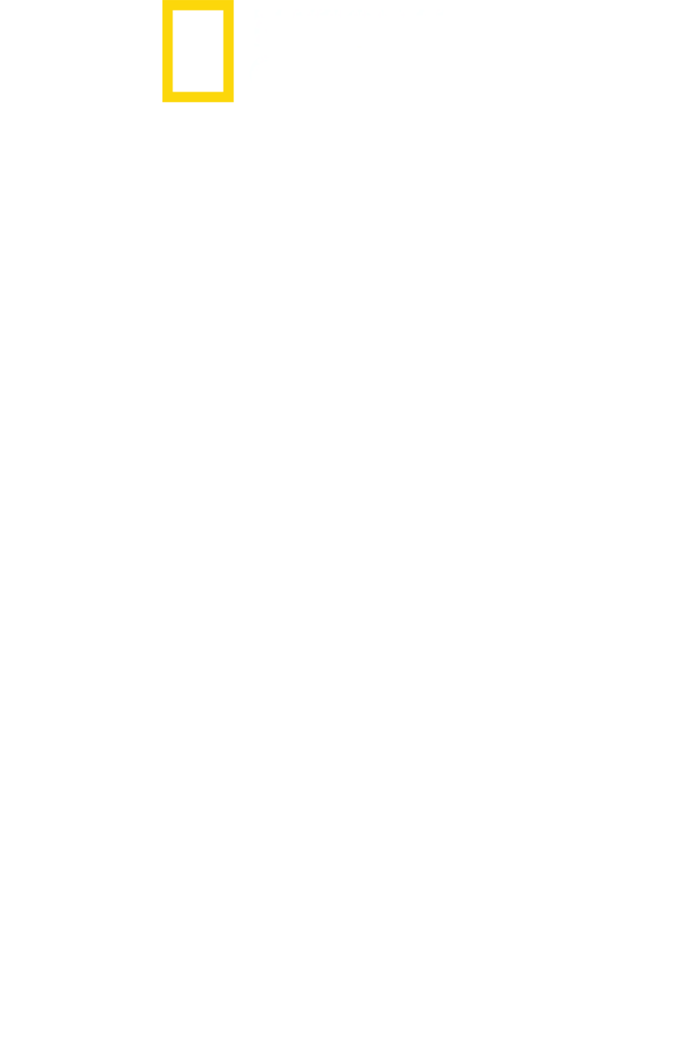 新空軍一號：空中堡壘