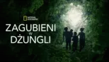 thumbnail - Zagubieni w dżungli
