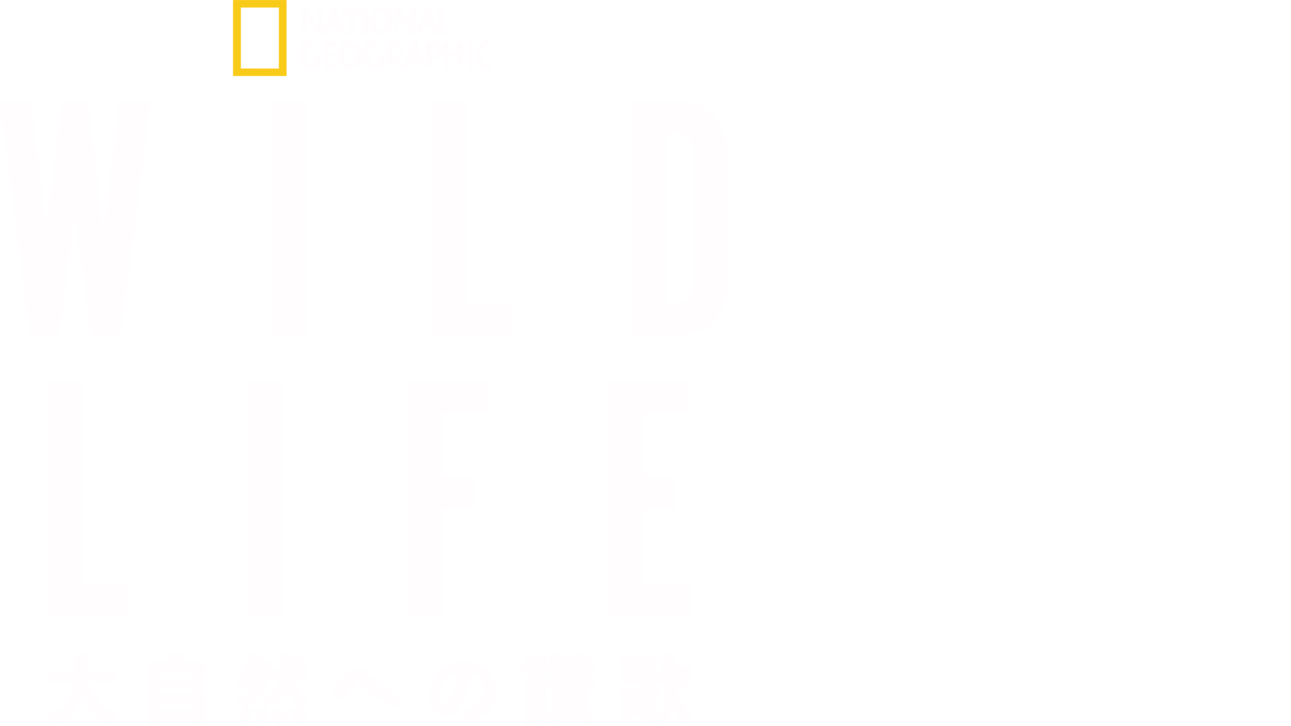 WILD LIFE 大自然への讃歌