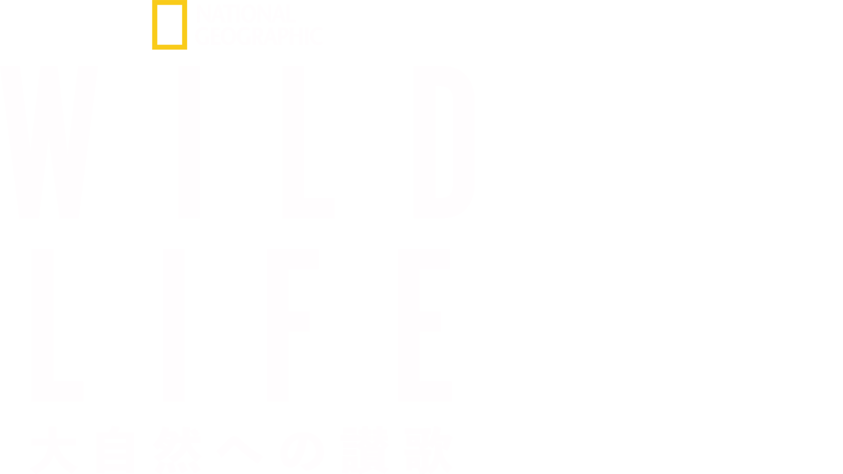 WILD LIFE 大自然への讃歌