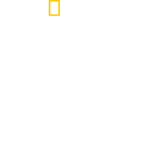 WILD LIFE 大自然への讃歌