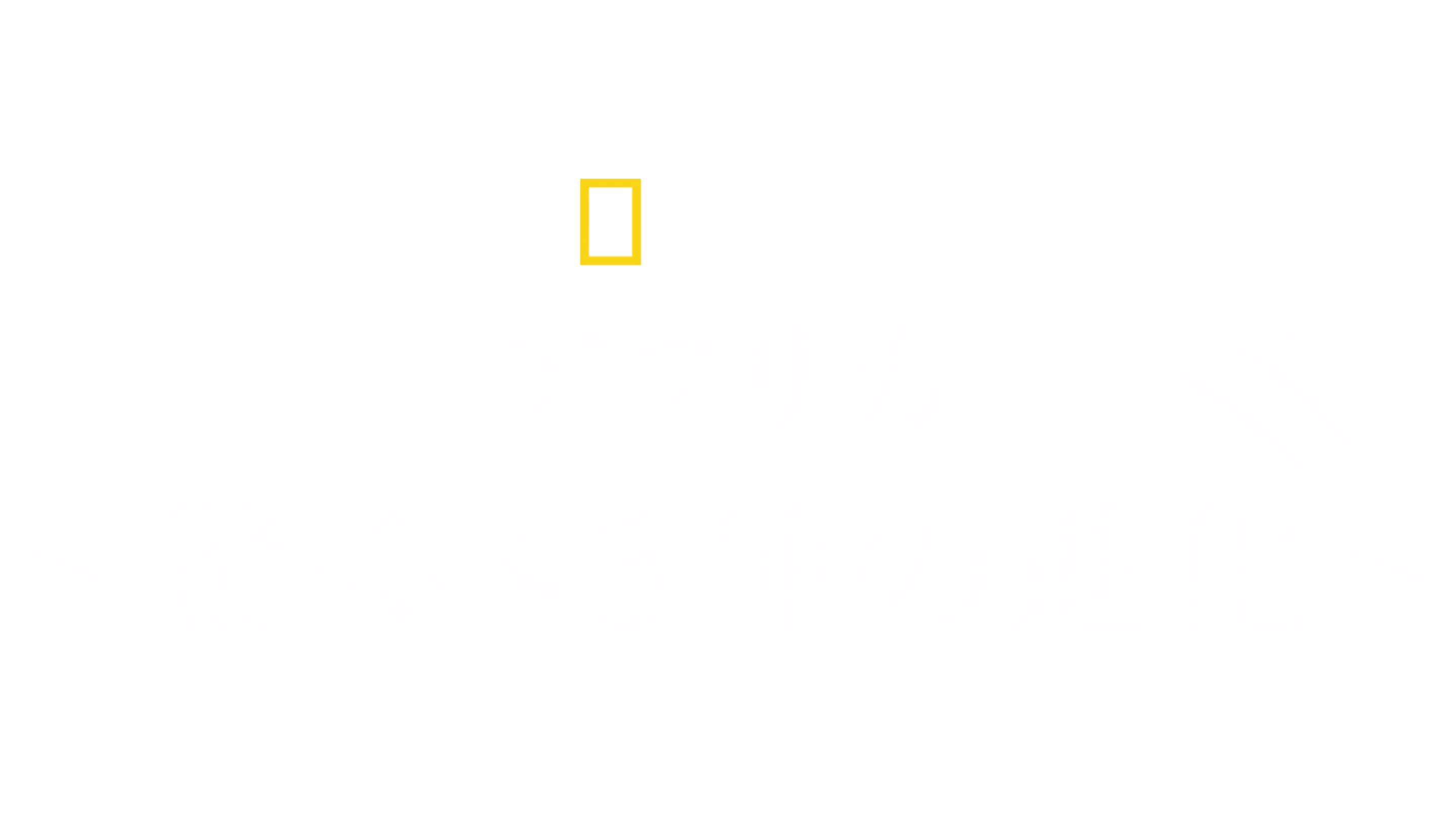 アフリカ～驚くべき種の進化～