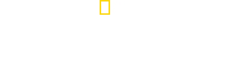 アフリカ～驚くべき種の進化～