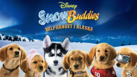 thumbnail - Valpgänget i Alaska