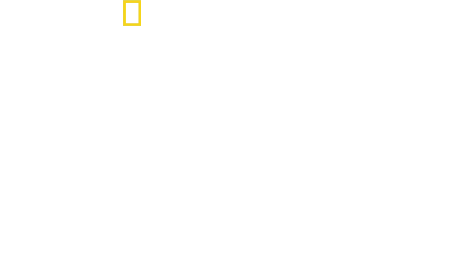 Despre delfini cu Bertie Gregory