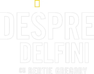Despre delfini cu Bertie Gregory