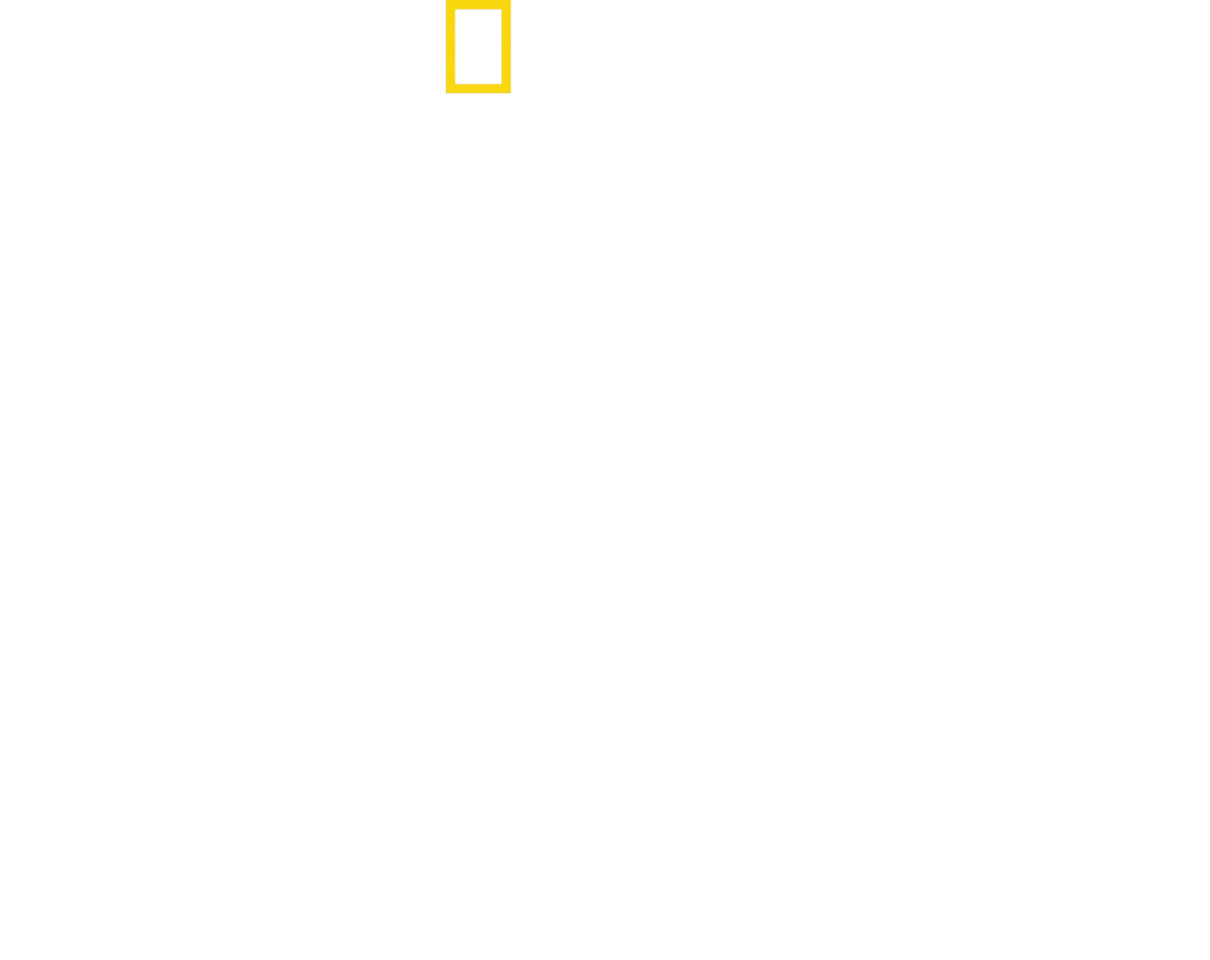 Despre delfini cu Bertie Gregory