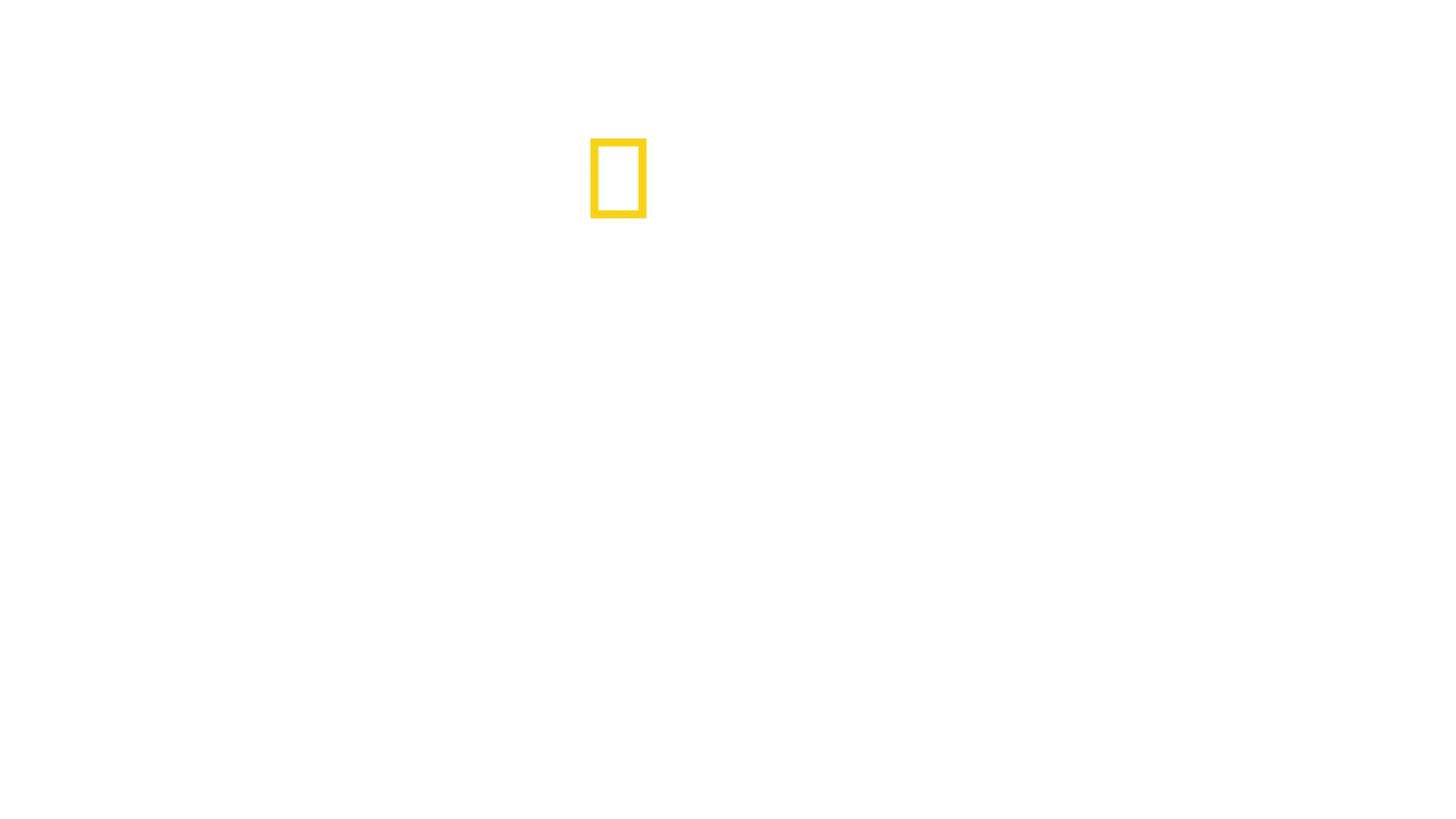 Das Turnier der Haie