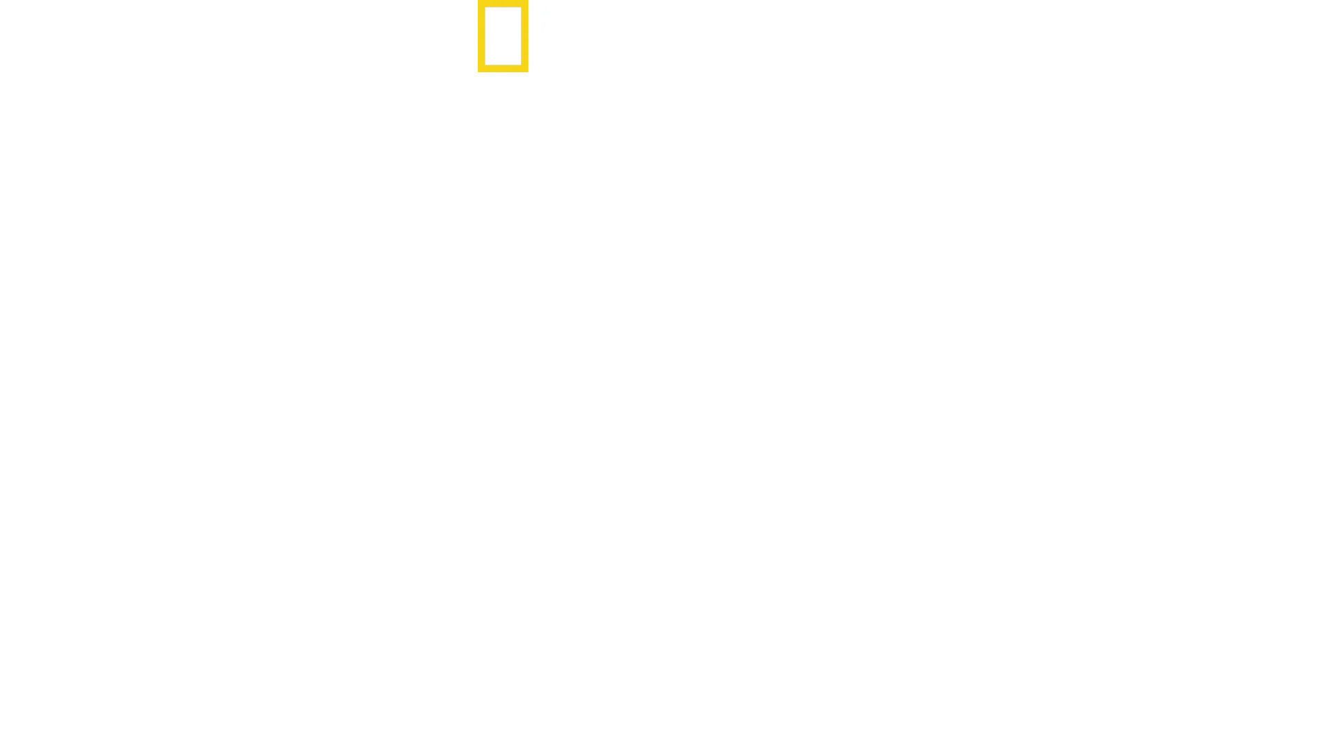 Most Wanted Sharks