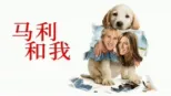 thumbnail - 马利和我