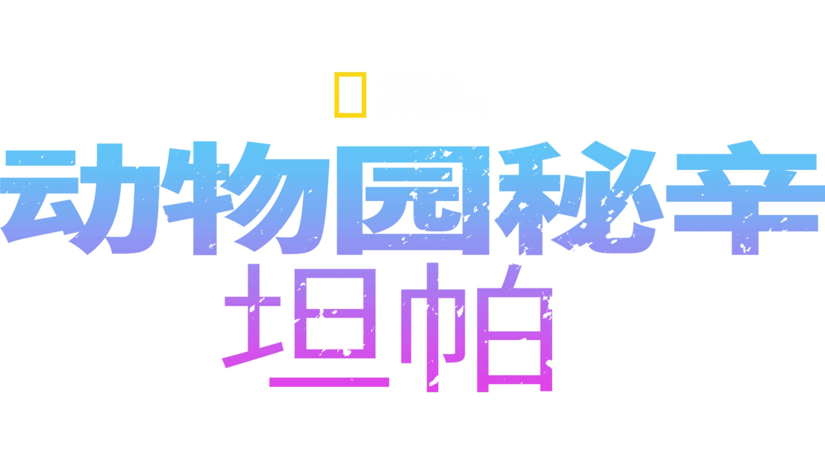 动物园秘辛：坦帕