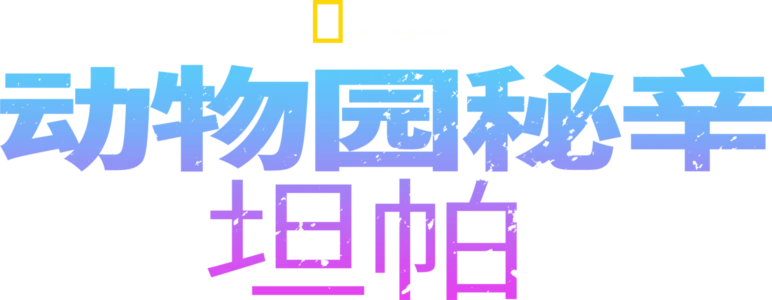 动物园秘辛：坦帕