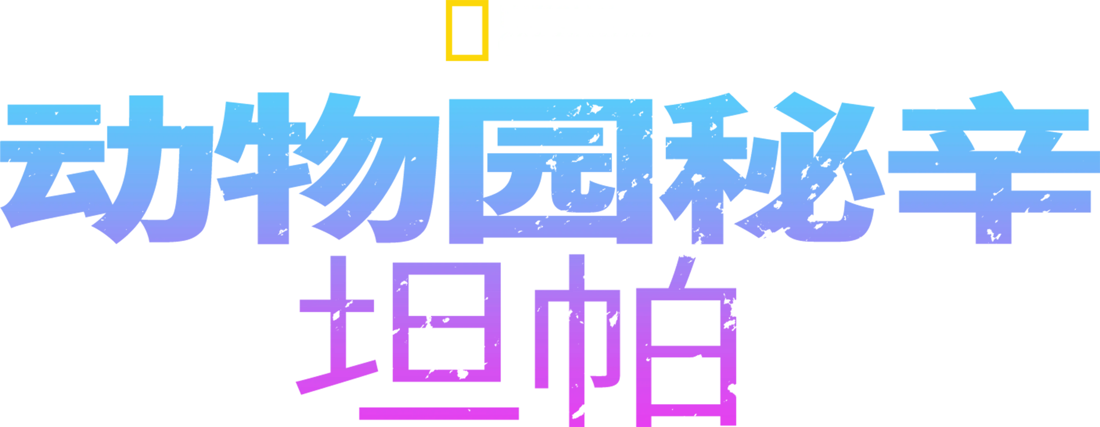 动物园秘辛：坦帕