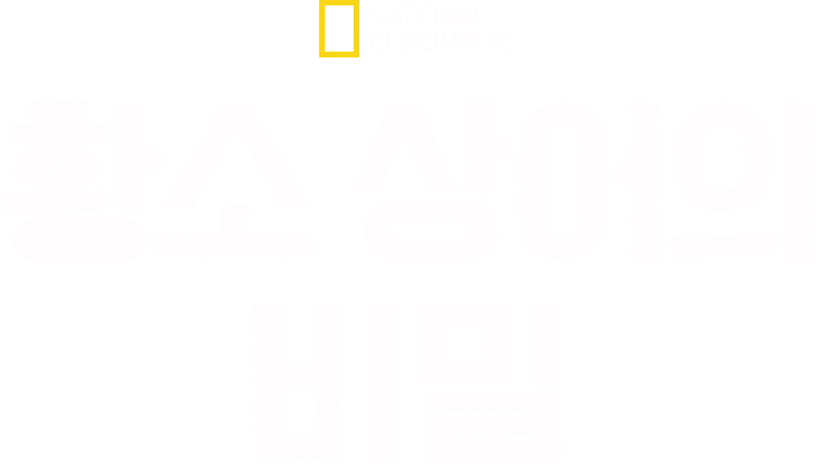 황소 상어의 비밀