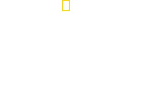 황소 상어의 비밀