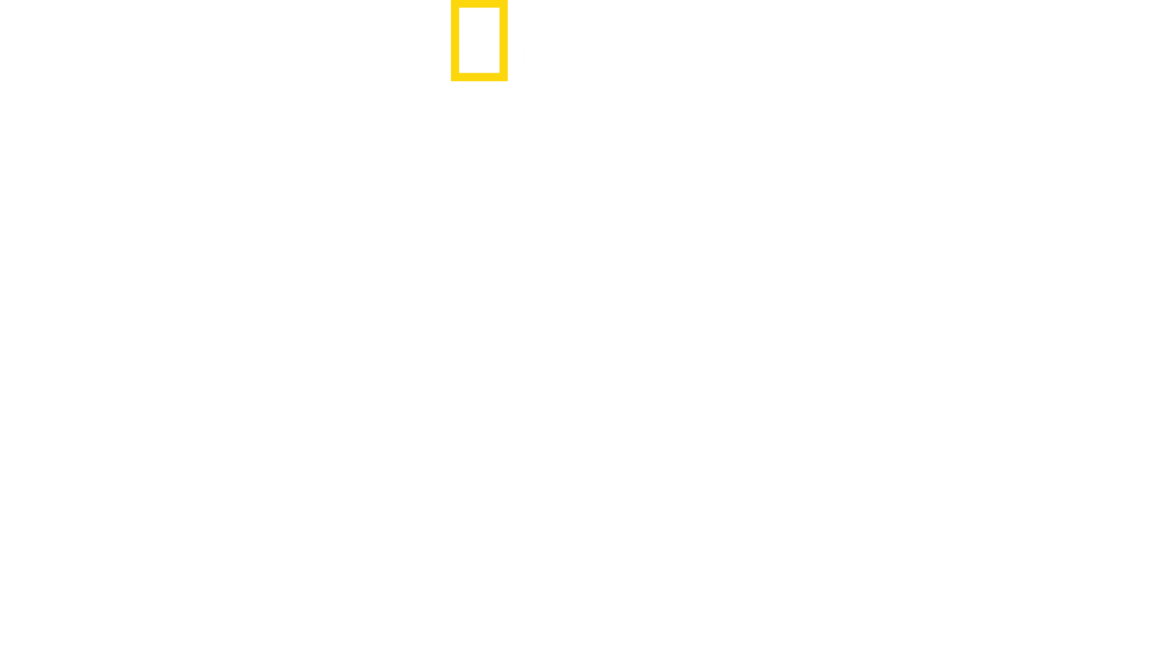 황소 상어의 비밀