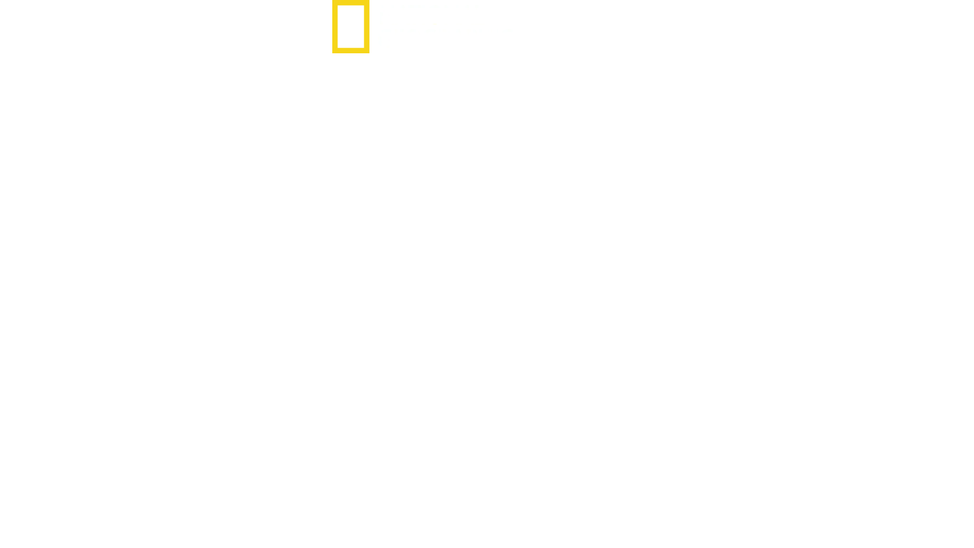 WW2 Heroes of the Sky