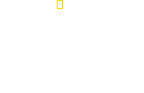 WW2 Heroes of the Sky