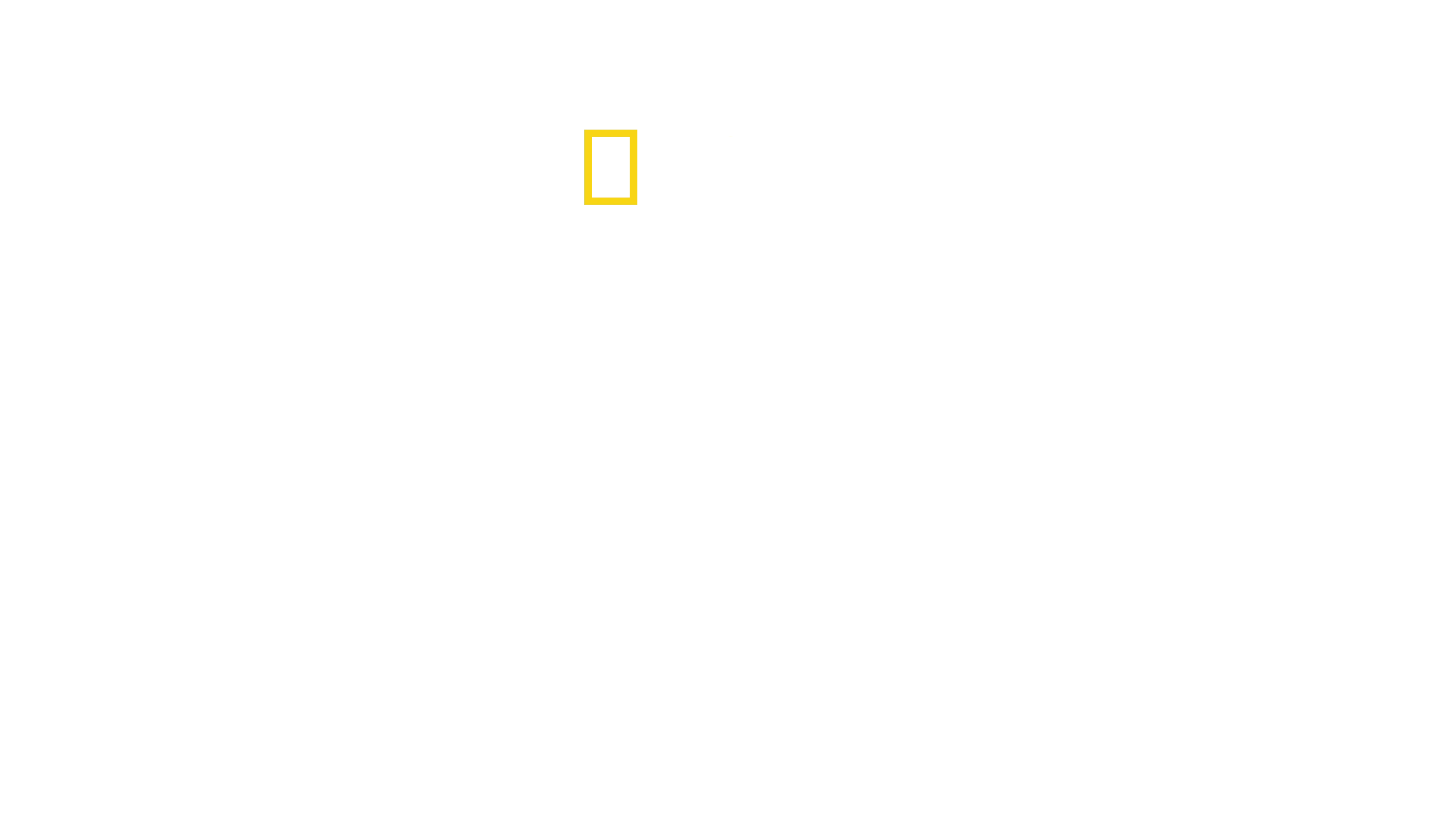 Shark Beach with Anthony Mackie: Gulf Coast