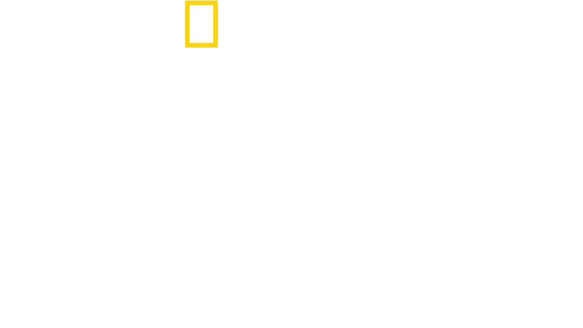 Tucci we Włoszech