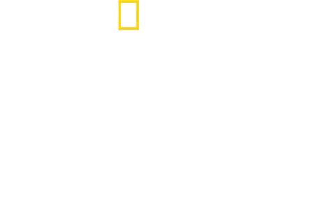 Tucci we Włoszech