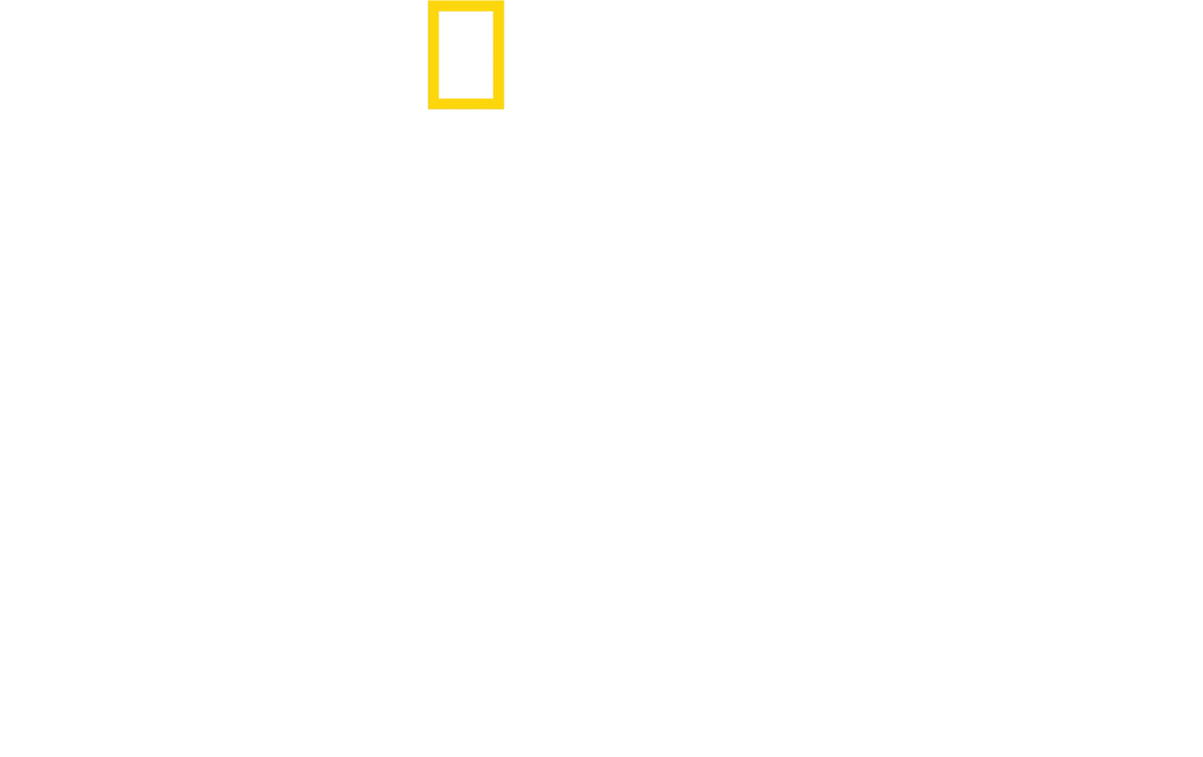Tucci we Włoszech