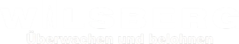 Wilsberg - Überwachen und belohnen