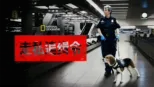 thumbnail - 走私追缉令
