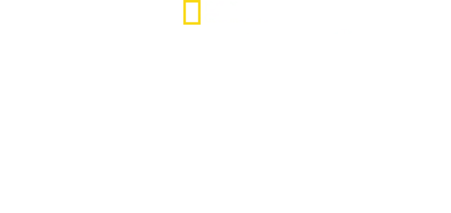 Bobi Wine: Il presidente del ghetto