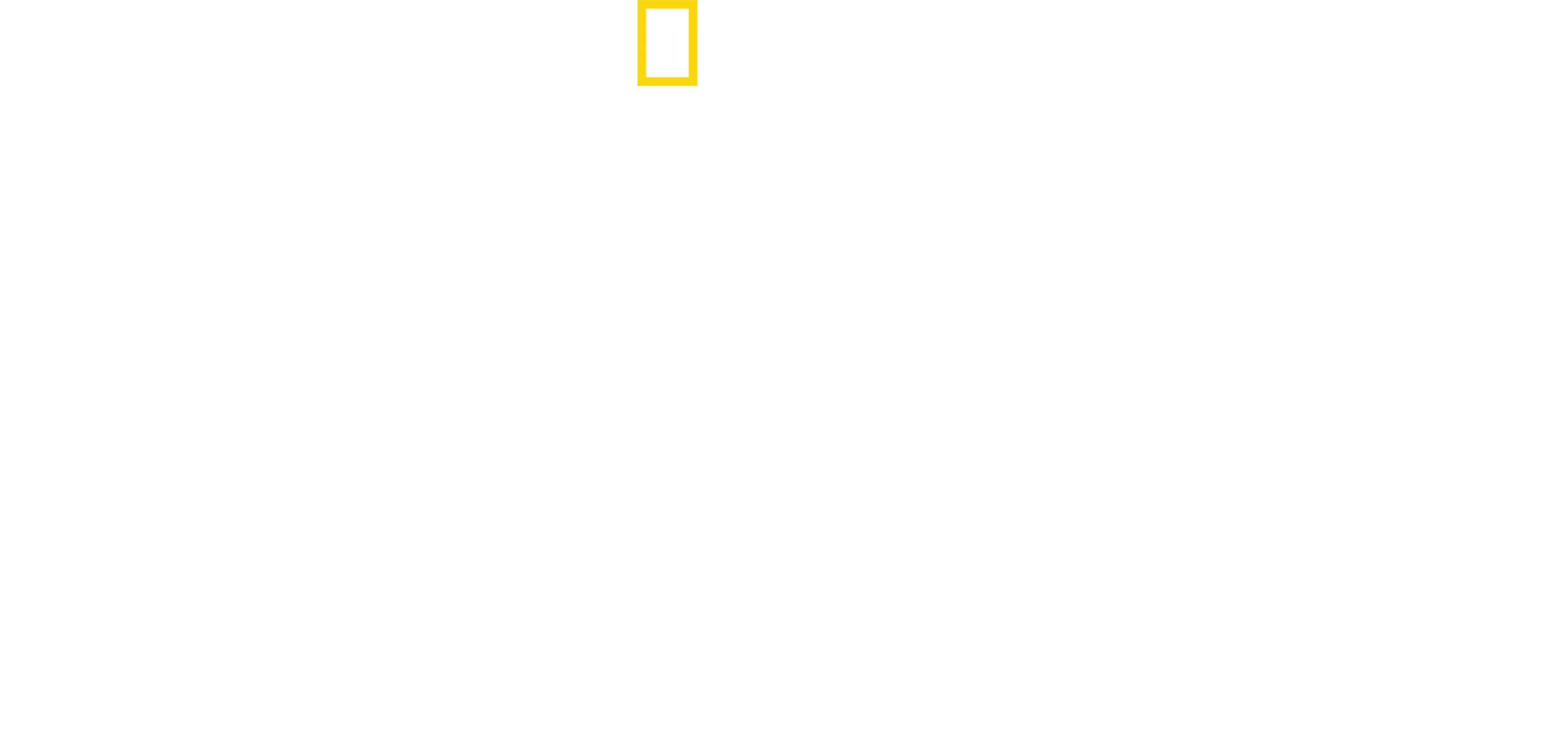 Bobi Wine: Il presidente del ghetto