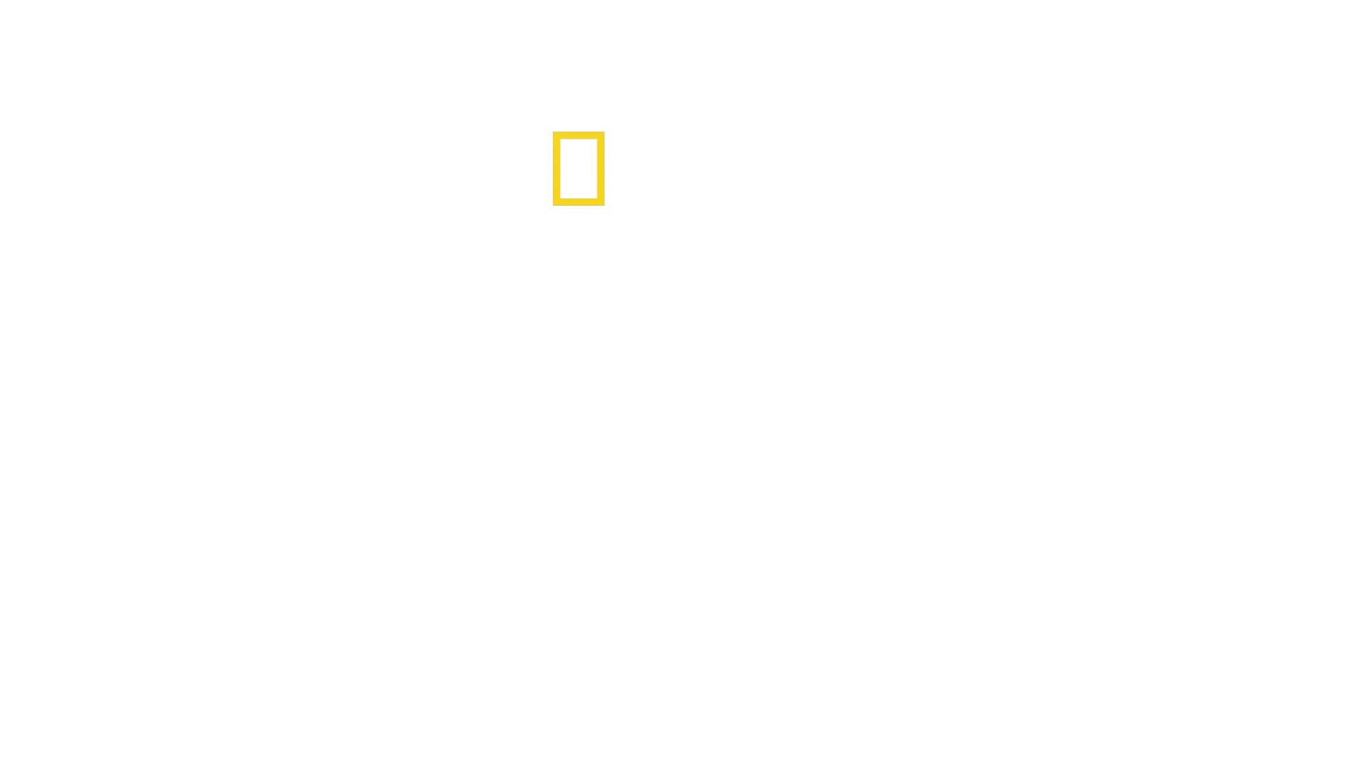 Drugs, Inc.: Dealer Pov