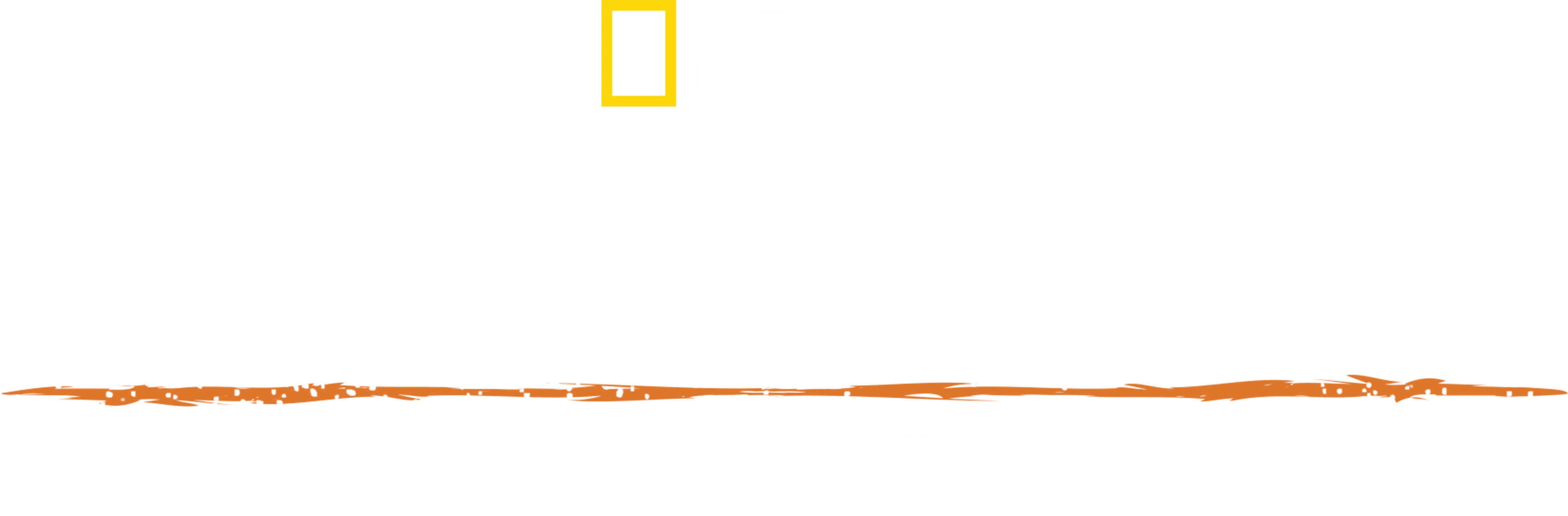 決死のサバイバル！南米大陸横断