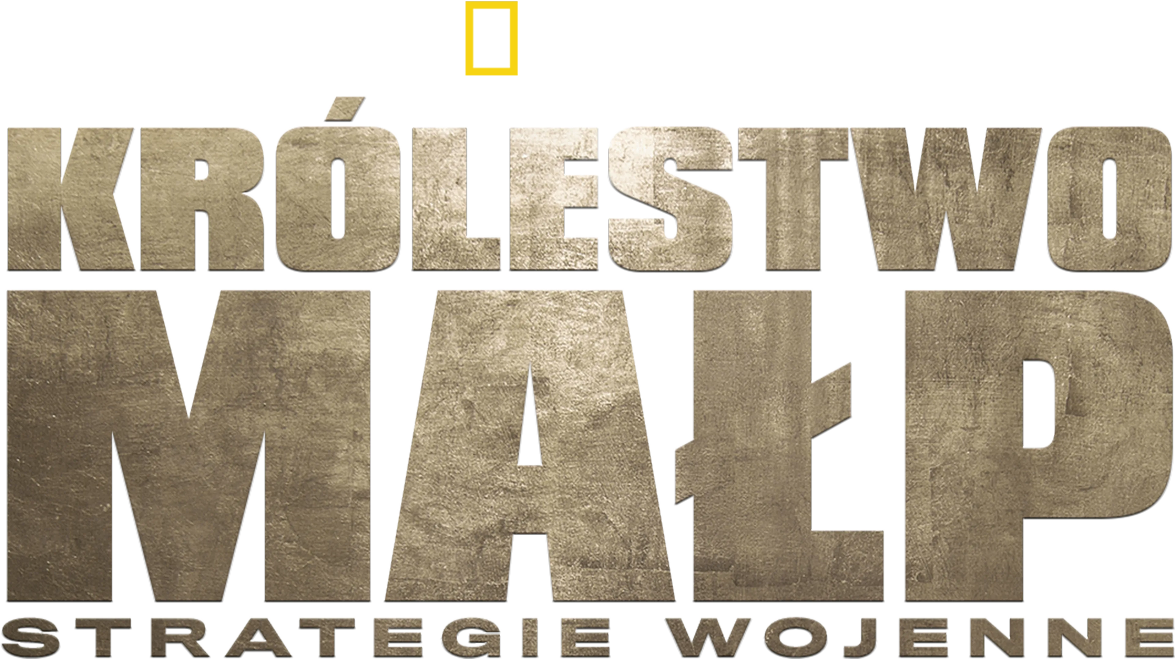 Królestwo małp: strategie wojenne