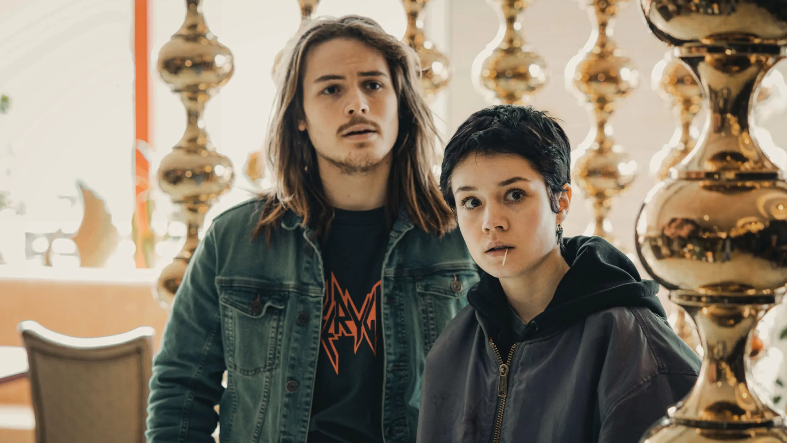 Stralsund - Wilde Hunde